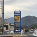 영천댐관광농원 | 영천 보현산댐 출렁다리 솔직후기 | 입장료•주차장 여부