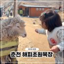 동선2목장 | 서울 근교 아이랑 나들이, 춘천 해피초원목장 동물체험 방문 후기 &amp; 주차 가격 동선 꿀팁