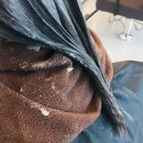 유헤어샵 이미지