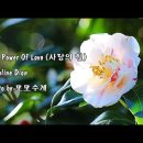 The Power Of Love (사랑의 힘) / Celine Dion (셀린디온)/ 동백꽃배경 이미지