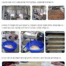 현이농산