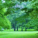 끝나지 않는 노래 (2) / 김영만 (보강) - 미주현대불교 6월호 이미지