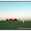 두바이 자유여행 준비!… 두바이 사막투어 사막보존구역, 부르즈할리파 전망대 스카이 라운지 , 두바이...