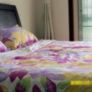 콘도식 민박 이미지