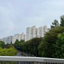 중앙공원.양지마을금호아파트 이미지
