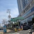 중랑천변1(노원교) | 도봉구청주변 중랑천 벚꽃 실시간 개화 상황 주말 무료 주차 꿀팁과 산책 코스