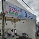 하동북천코스모스메밀꽃 영농조합법인 | 하동 북천 코스모스 메밀꽃축제 실시간 후기 및 주차 [ 하동 가볼만한 곳 ]
