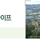 주식회사 율동