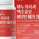 메가웰스