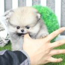 베이비몽 부천점 이미지