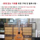 중고 일제 통기타 - 남양주 직거래만 이미지