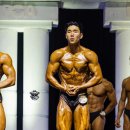 테일러 짐 이미지