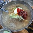 은행나무 갈매기 이미지