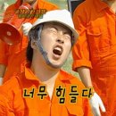 요가 B반 | 플라잉요가 일주일~2주 후기 (1회~3회)