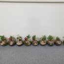 힐링아트문화생활협동조합 네이버블로그
