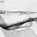 배양곡 Daum카페