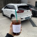제주 전기차 렌터카 업체 특별한 렌트카 N번째 내돈내산 이용 후기