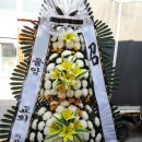 임실꽃화원 네이버블로그
