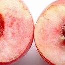 주식회사 천도 이미지