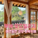 충남공업사 | [충남 부여] 감성 가득 한옥카페🏡☕ 무드빌리지 (애견동반 테라스 후기)