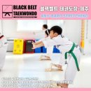 유일태권도장 네이버블로그