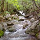 도사곡휴양림 이미지