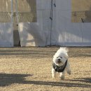 노라도라 이미지