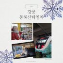 동해바다 | 동해산타열차 이용후기 - 바다뷰 가족석 예약팁 겨울기차여행