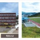 더포레스트 이미지