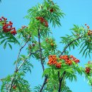 월드컵경기장 이미지