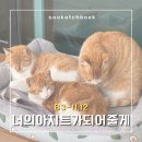 [캠핑장] 너의아지트가되어줄게 | 가평캠핑장 | 경기도신생캠핑장 | 깨끗하고 시설좋은 고양이친화적...