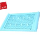 퍼피젤리 이미지