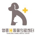 스타동물의료센터 이미지