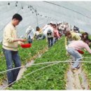 대가야소고기국밥 이미지