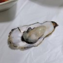 불나리 이미지