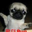 바람은 왱왱왱 마음은 잉잉잉