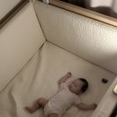 자유부인이 좋아.. ㅎ 조동이 쵝오야!!!
