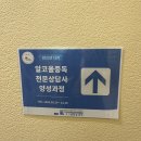 백석대학교 교육대학원 | 성장하는 엄마 나야 나(feat. 백석대학교 대학원 중독상담학 면접 후기)