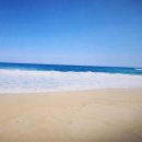 정동진공인중개사사무소 이미지