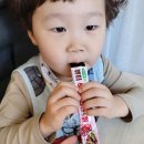 토토원 이미지