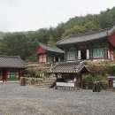 곡성-245 Daum카페