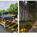 강남-260 이미지