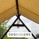 월드니스 이미지