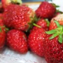 왕징농장 이미지