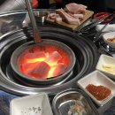 탐나는돼지