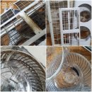 고흥읍 홍교길 | 고흥읍 세탁기청소 쿨윙 세탁기 청소 효과