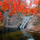 월외 | [여행] 11월 청송 주왕산, 단풍 절정기에 주차비 &#39;0원&#39; 가을 산행, 이렇게 쉬울 줄이야!