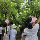 수원-1280 이미지