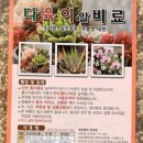 성심상회 이미지