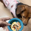 pet362더3913 | 창원 컨벤션센터 펫페어 박람회, 2024 펫친소 방문후기